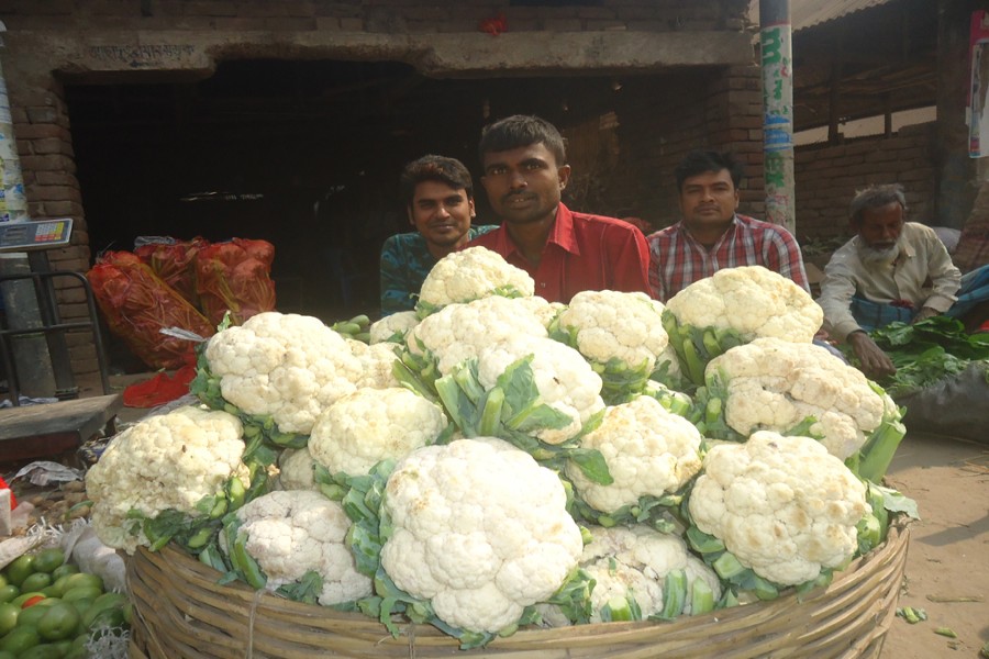 Cauliflower growers waiting for buyers in a vegetable market in the Dhaka Road area of Magura town   	— FE Photo