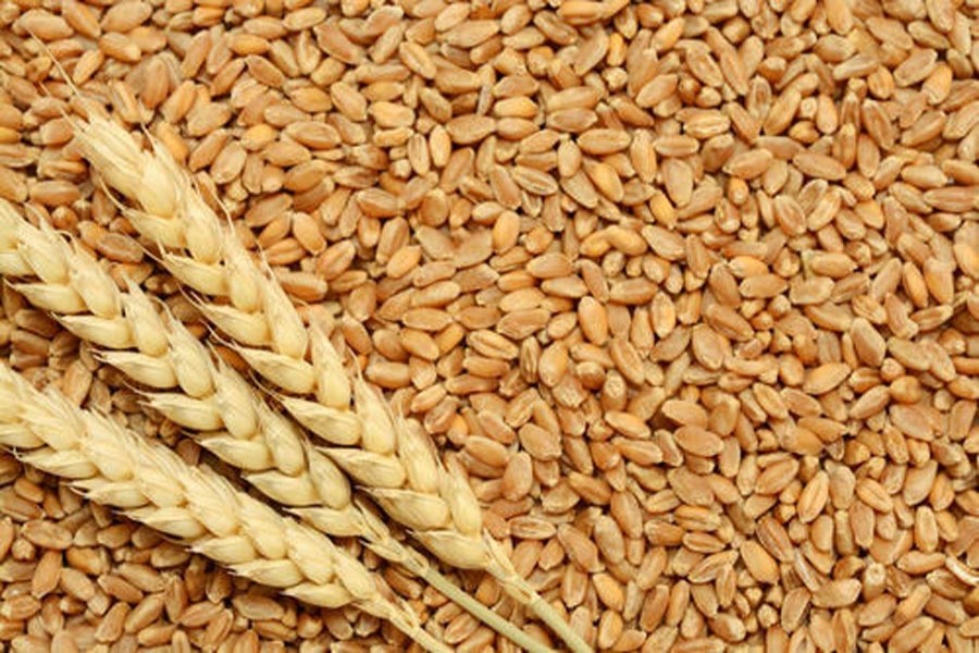 BD issues new tender to  buy 50,000T of wheat