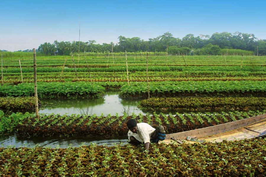 Crop protection embankments   