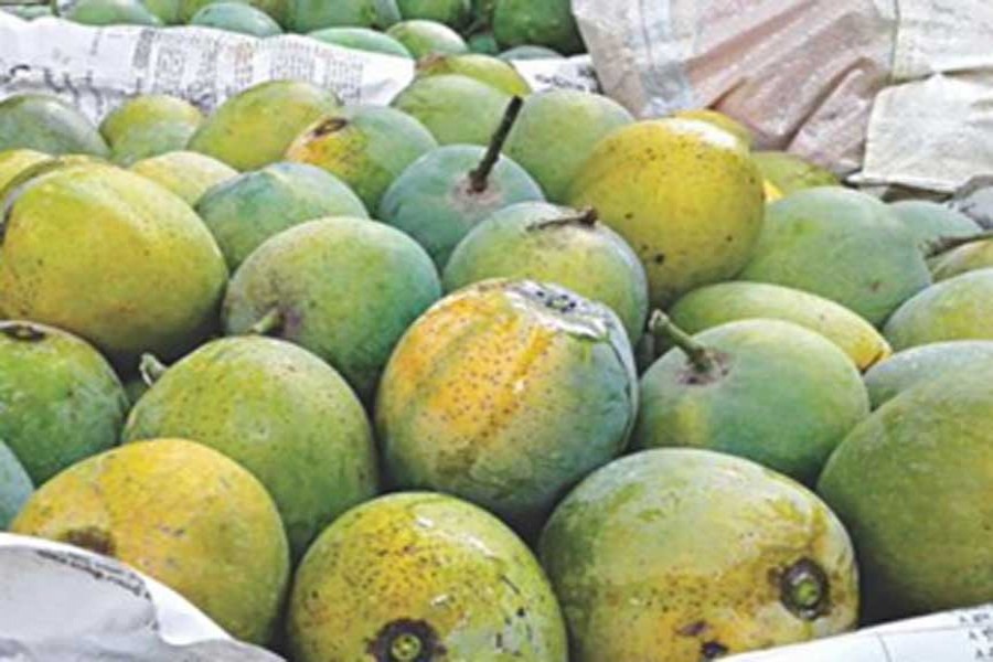 Khirshapat mango to get GI recognition: Minister