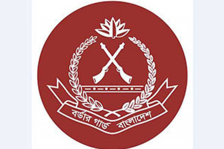 BGB recovers firearms from Kushtia border