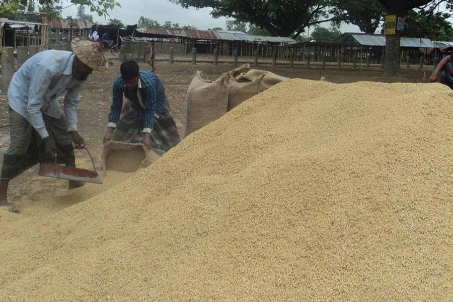 Rice traders filling sacks with rice at Nischinta Haat under Khetlal upazila of Joypurhat district  	— FE Photo