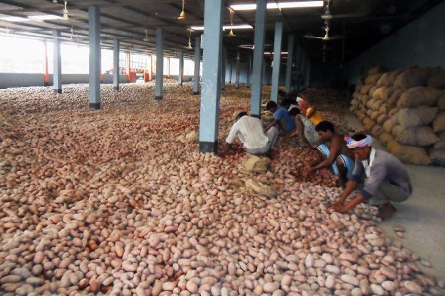 Labourers working at a cold storage in Rajshahi - FE Photo