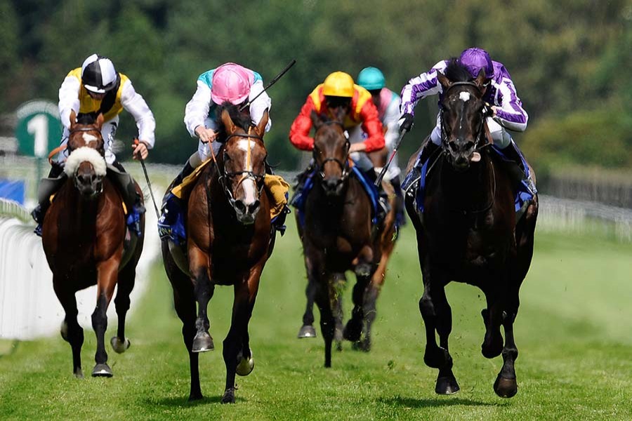 Horse racing in Australia. Photo: Collected