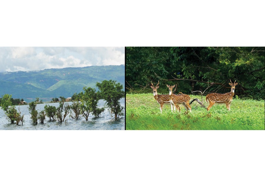 Tanguar Haor (left) and Sunderbans are the two Ramsar sites in Bangladesh