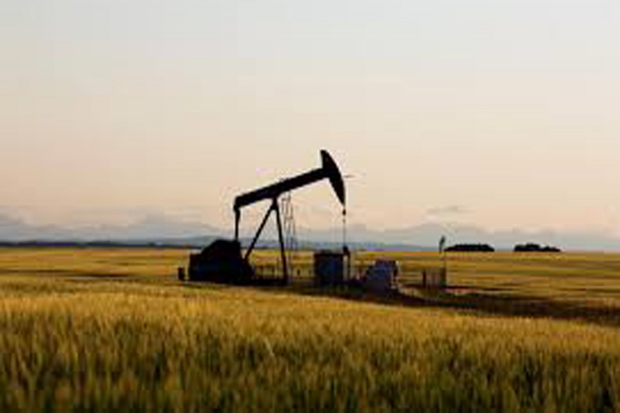 An oil pump jack pumps oil in a field near Calgary, Alberta, Canada on July 21, 2014. Reuters/File Photo