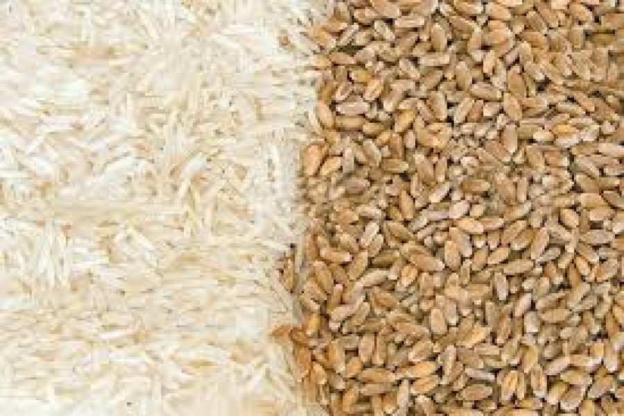 Food grain stocks hit 1.362m tonnes