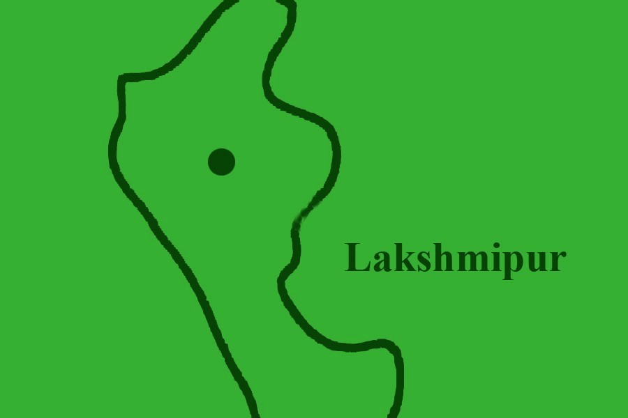 Seven premature babies of a  woman die in Lakshmipur