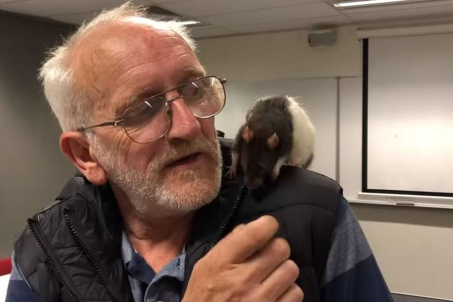 Police reunite Australian man with his lost pet rat