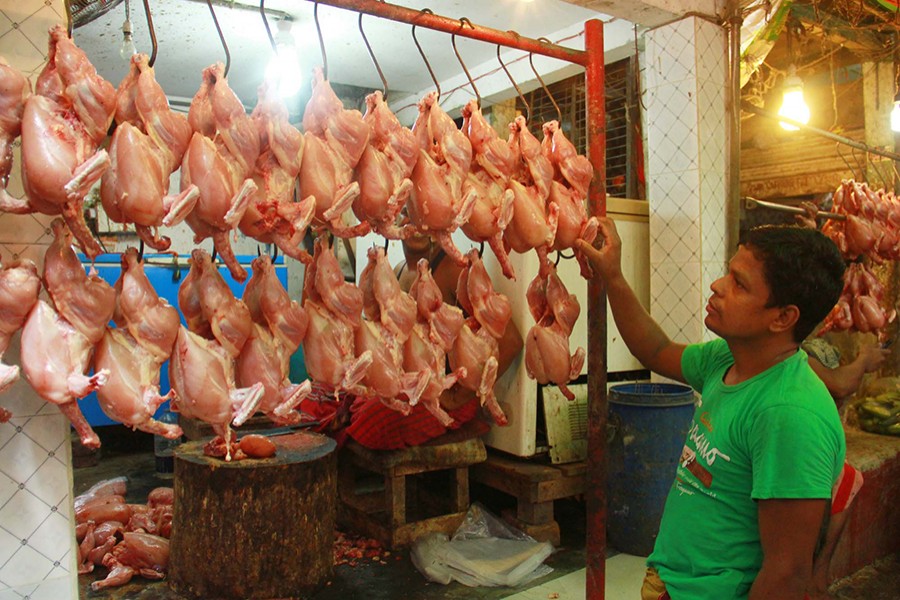 Undressed broiler chicken seen hanging from hooks in city's Kaptan Bazar in this undated Focus Bangla photo