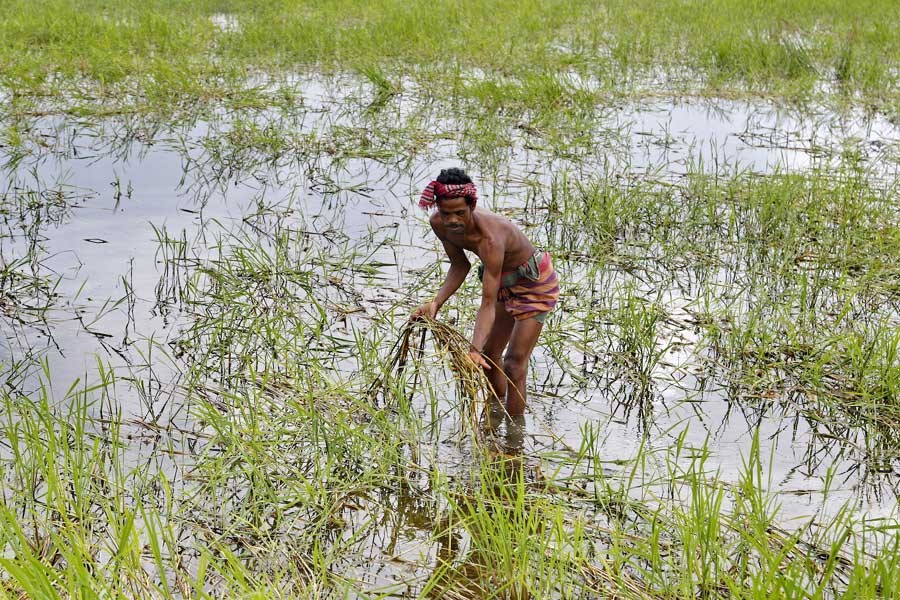 Crop insurance for farmers