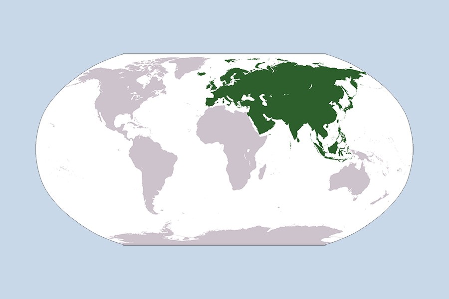 BD, EEU to form working group to boost trade, economic cooperation