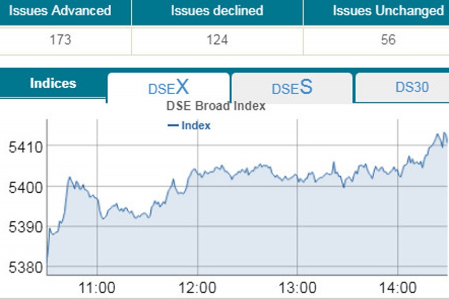 Stocks rebound on tax review hope