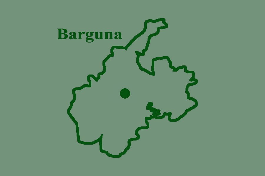 Two accused in Barguna murder case remanded