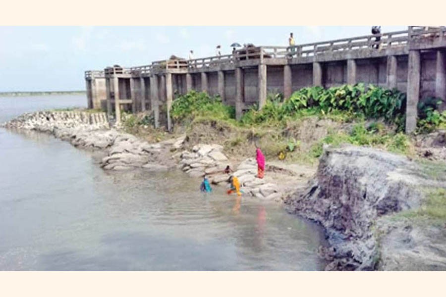 BOGURA: Erosion by the Jamuna river takes a serious turn in Sariakandi upazila under Bogura district. The photo was taken on Sunday 	— FE Photo