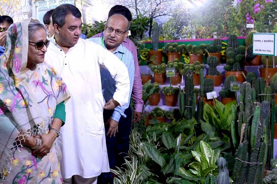 Tree fair witnesses rise in sapling sales this year