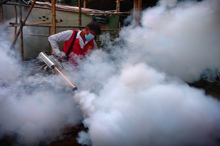 Govt allocates Tk 515.0 million for mosquito control