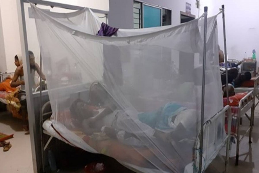 Over 2,300 more dengue patients hospitalised in 24 hours