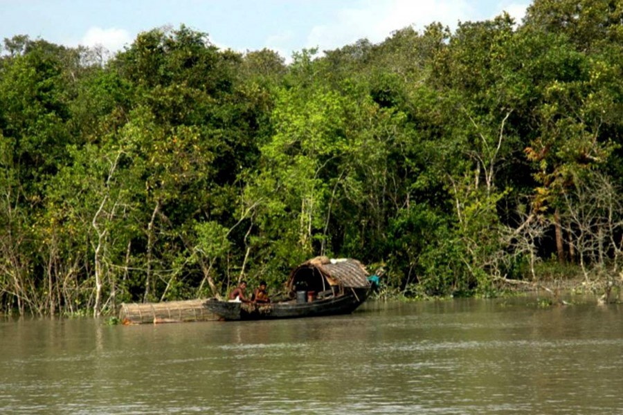 Red alert issued in Sundarbans ahead of Eid