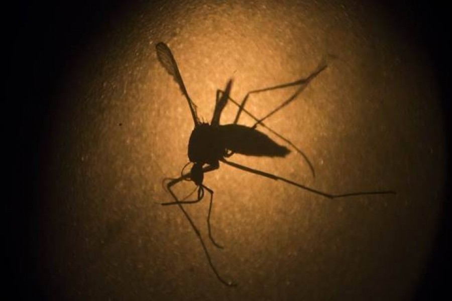 Dengue: Over 2100 hospitalised in last 24 hours