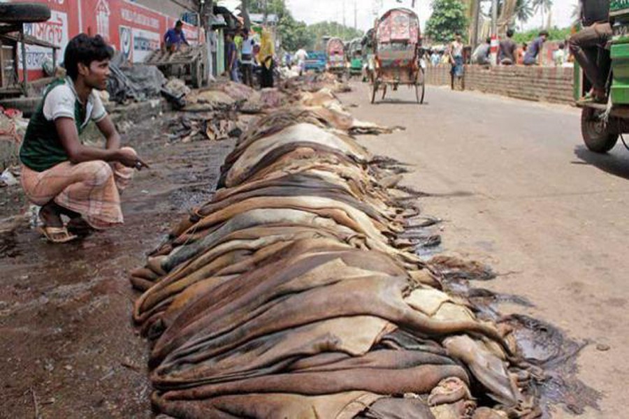 Disciplining the rawhide market   