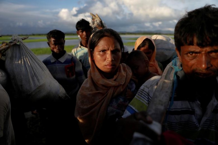 Rohingya refugees who fled from Myanmar wait in the rice field to be let through after after crossing the border in Palang Khali, Bangladesh. REUTERS/Damir Sagolj