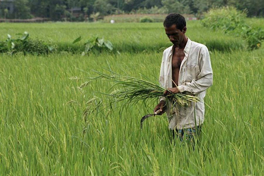 Protecting arable land from extinction