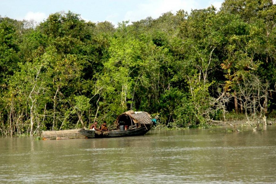 Fishermen decry Sundarbans fishing ban