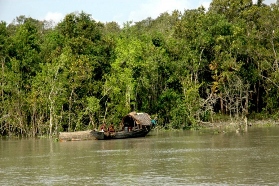 Sunderbans fishermen experience severe hardship over fishing ban