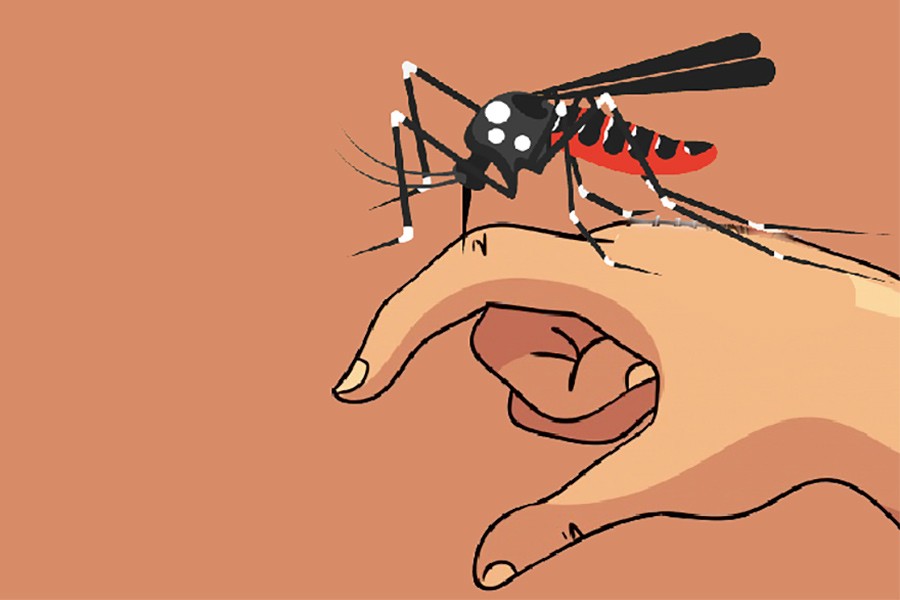 5,562 dengue patients undergoing treatment