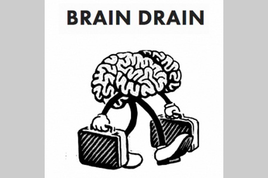 'Brain gain' reversing 'brain drain'   