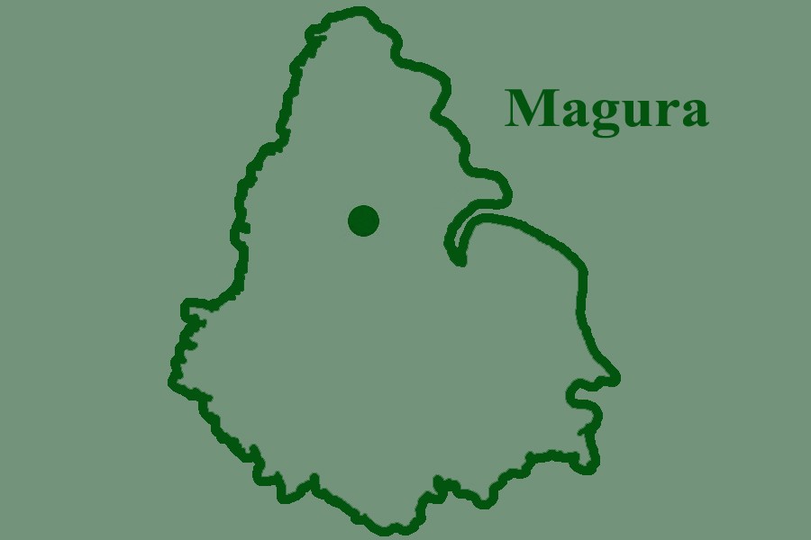 Housemaid ‘kills self’ in Magura