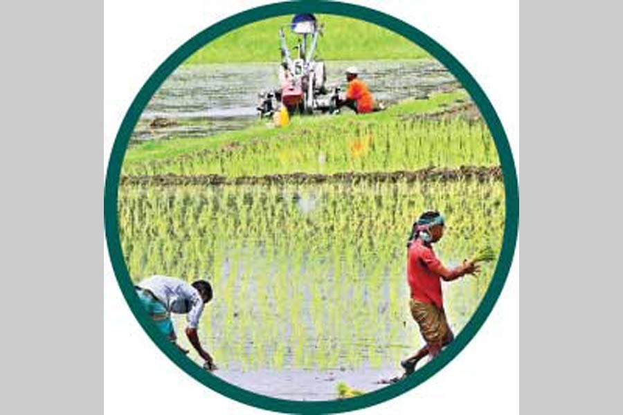 Curbing shrinkage of arable land   