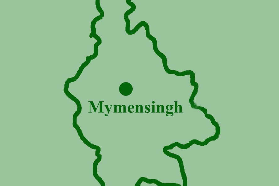 Truck hits auto-rickshaw in Mymensingh, killing two