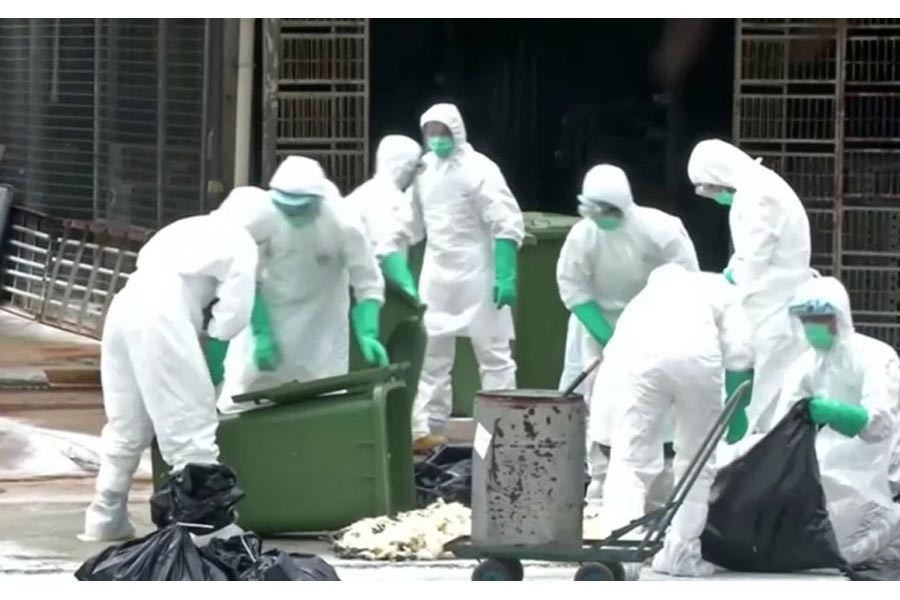 China  reports bird flu outbreak