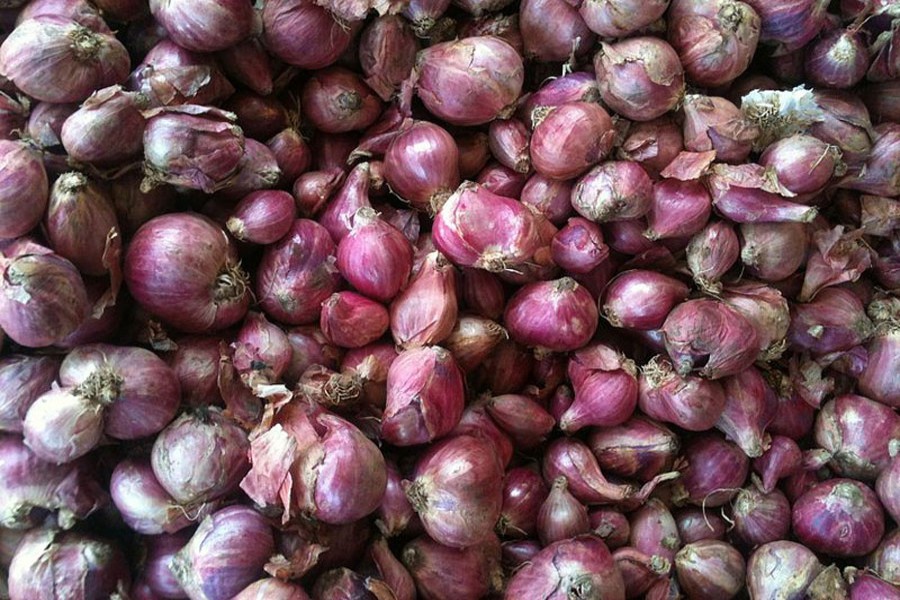 Onion price downtrend causes mixed reaction among Magura people