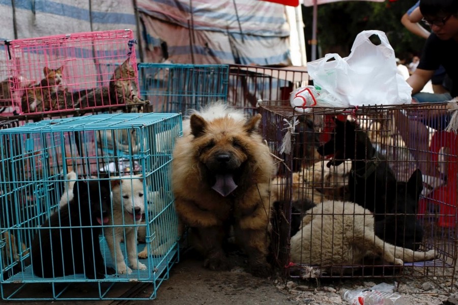 Photo Courtesy: Reuters/Kim Kyung Hoon