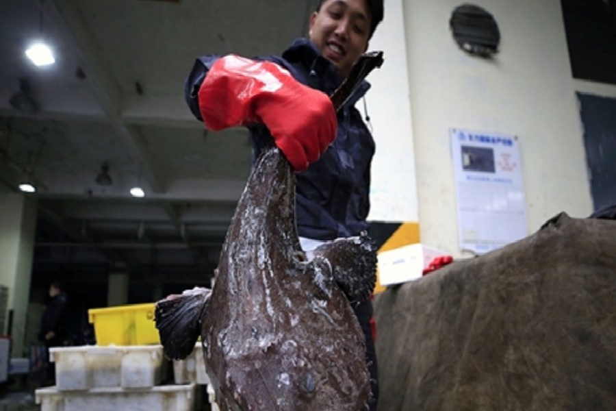 Shanghai, Wuhan embrace reopened and sanitised markets for fresh food