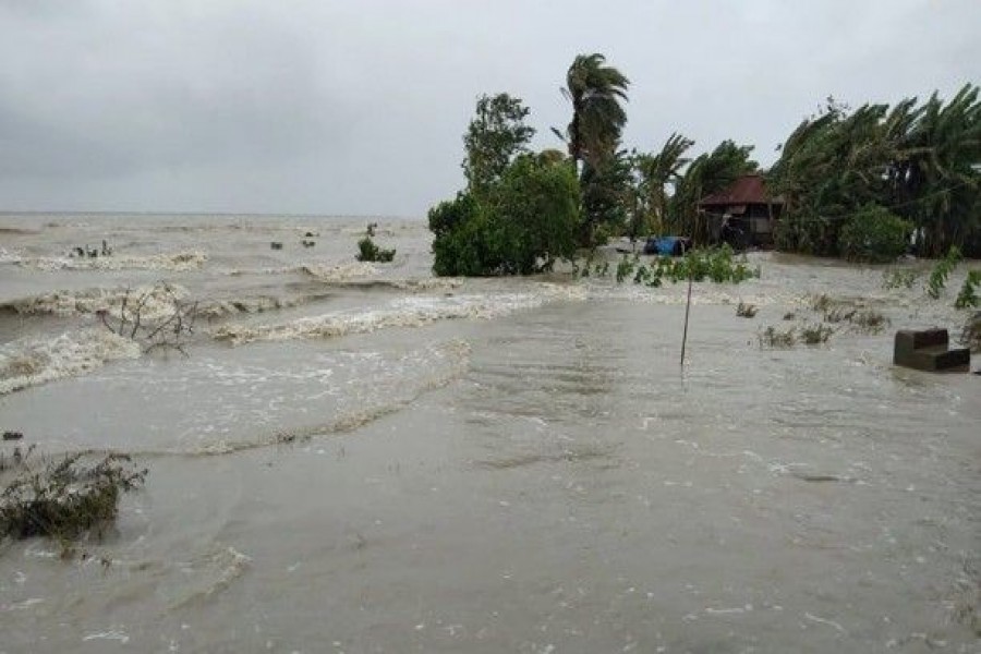 Amphan havoc -- rescuing fisheries and livestock