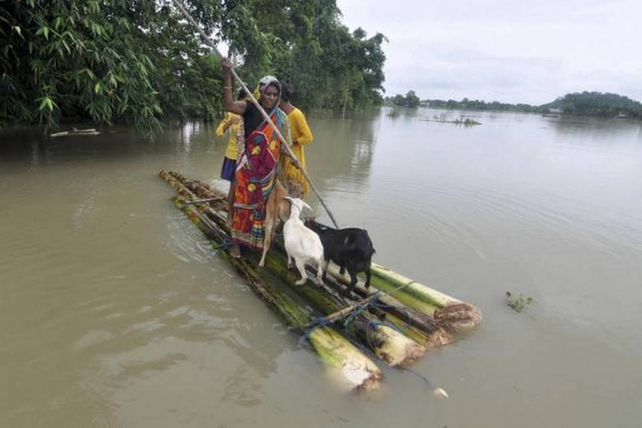 A woman along with her children and livestock rows a makeshift raft on the floodwater following heavy rainfall, in Morigaon district, Assam on June 25, 2020 -Photo Credit: PTI