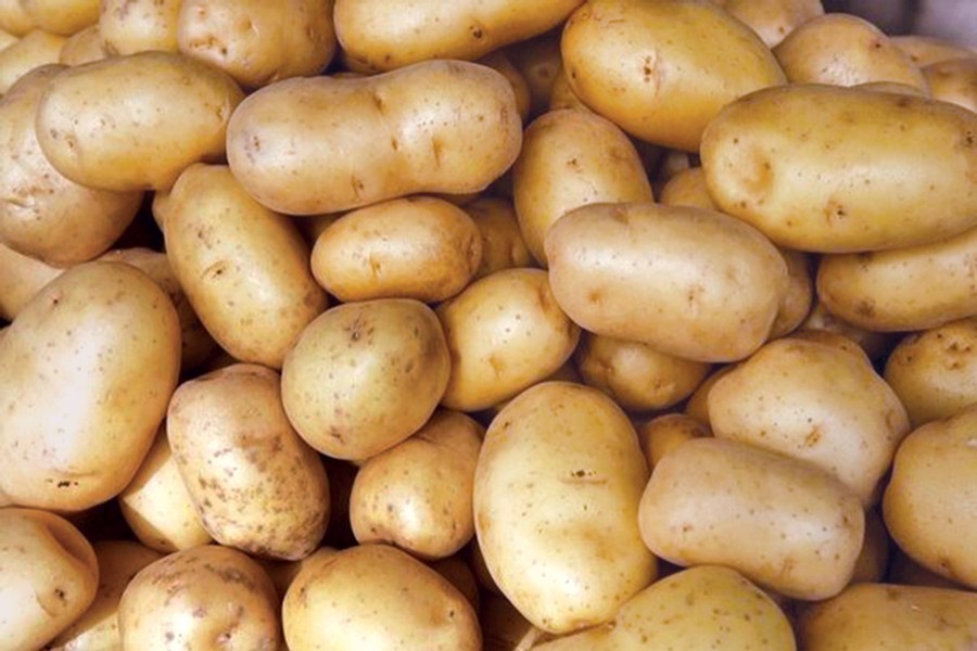 Minister eyes developed seeds to boost potato production, export