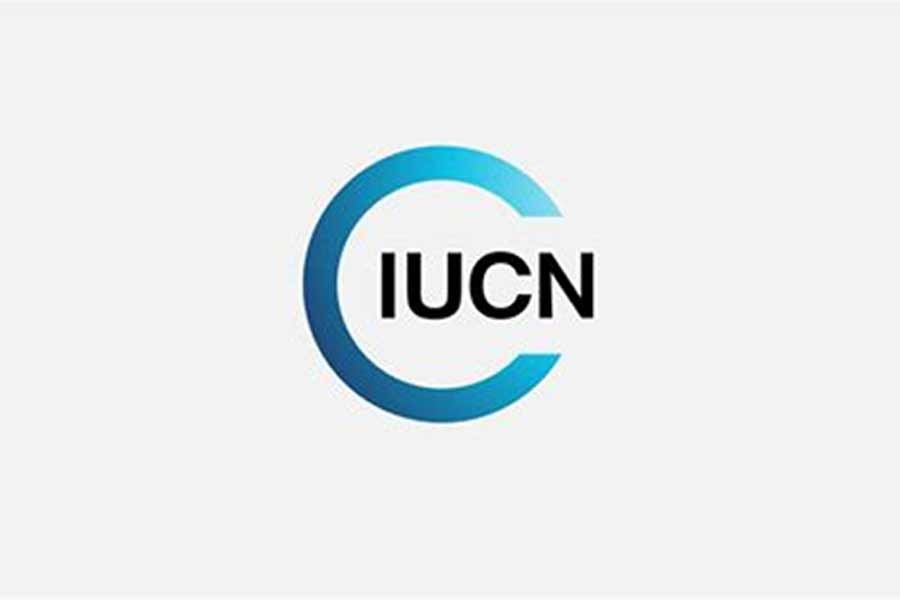 BD supports UAE for IUCN president candidature