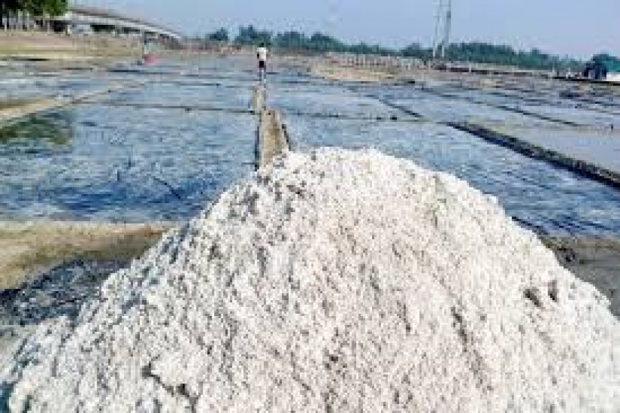 BSCIC asked to increase salt production for Eid-ul-Azha