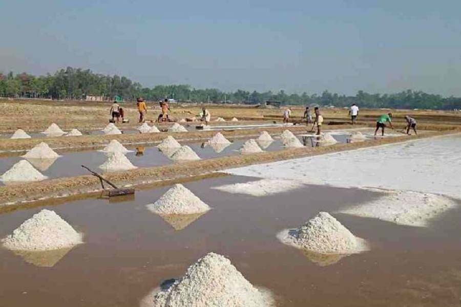 No shortage of salt for preserving rawhide: BSCIC