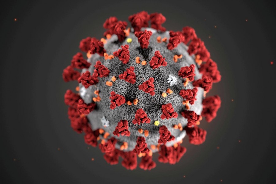 The ultrastructural morphology exhibited by the 2019 Novel Coronavirus (2019-nCoV), which was identified as the cause of an outbreak of respiratory illness first detected in Wuhan, China, is seen in an illustration released by the Centers for Disease Control and Prevention (CDC) in Atlanta, Georgia, US, January 29, 2020 — Alissa Eckert, MS; Dan Higgins, MAM/CDC/Handout via Reuters