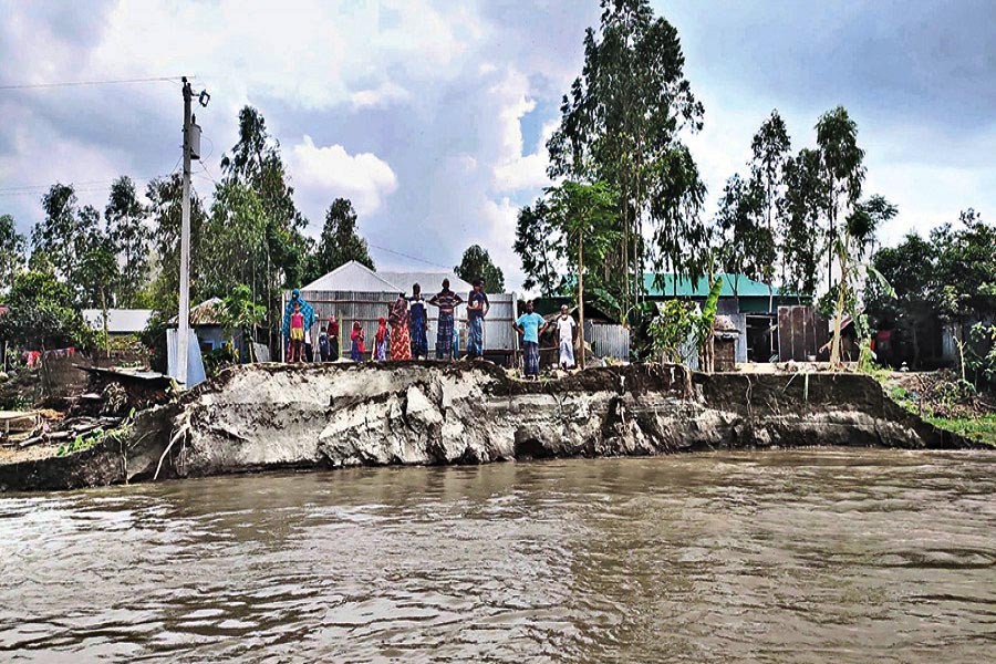 Flood inundates 15,000 hectares of croplands in Kurigram