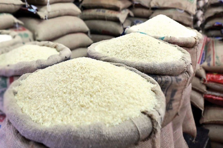 Govt allots 10566 tonnes of rice for fishermen during hilsa ban