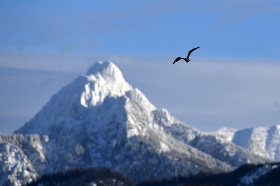 A bird flies through the sky in front of a snow-covered mountain in Fuessen, Germany on January 15, 2019 — Reuters/Files