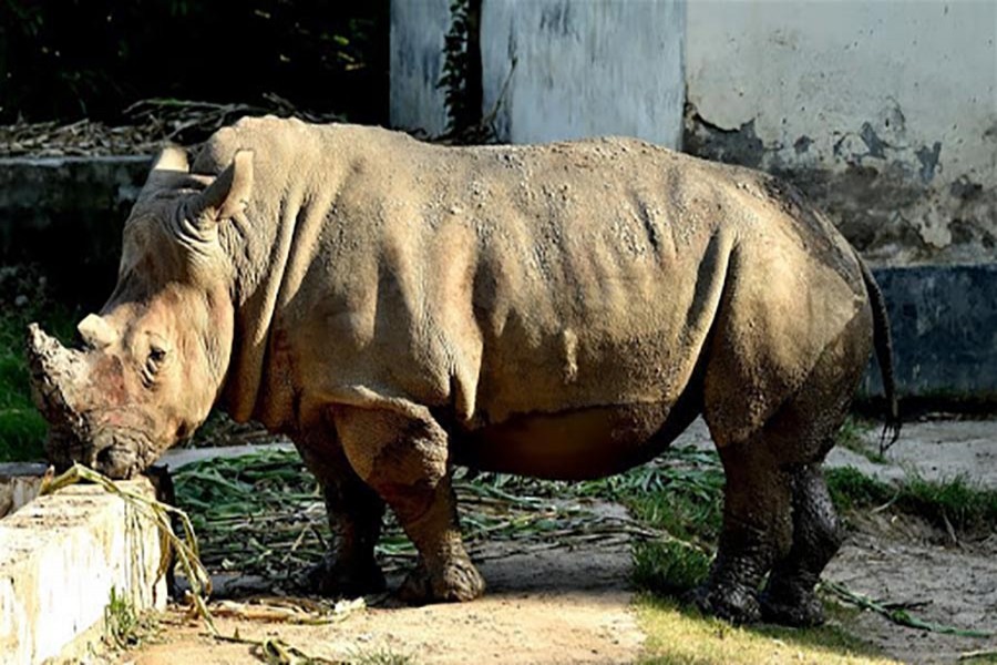 Visitors to get free access to National Zoo on first Sunday of every month on Mujib Year