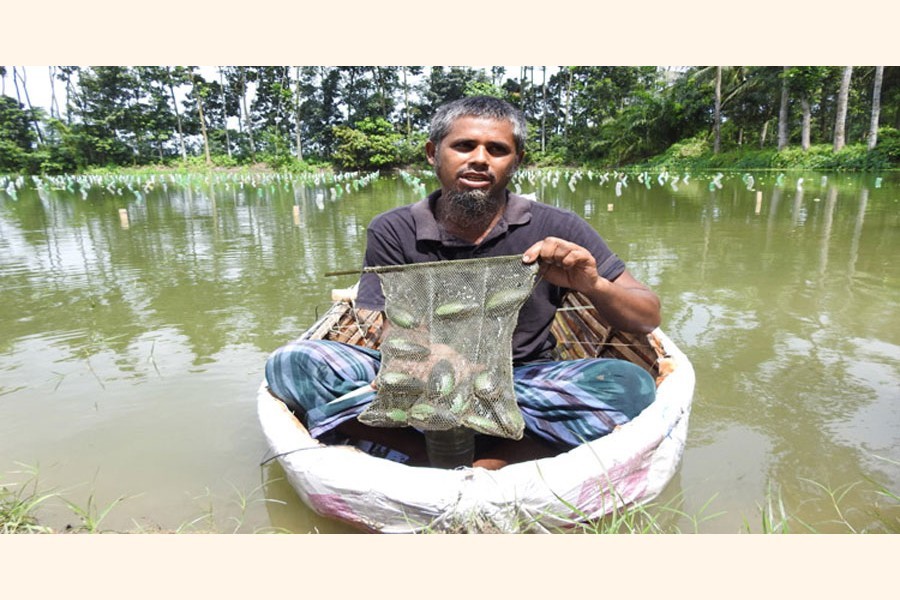 Abul Hossen Khan of Keshtapur village in Magura Sadar upazila holds a bag of oysters in his pond — FE Photo